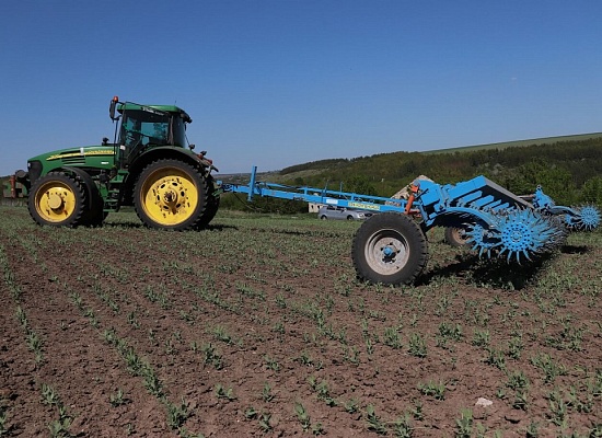 Борони ротаційні ANTOKS XL причіпні 